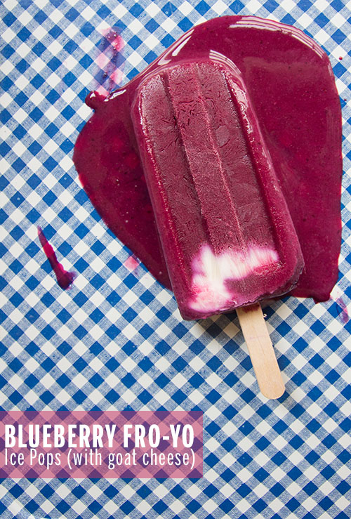 Blueberry Froyo Ice Pops