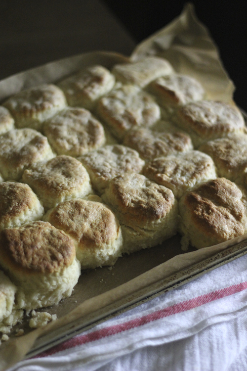 Buttermilk Angel Biscuits by Erika Council 